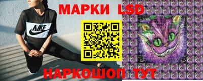 сатива Моздок