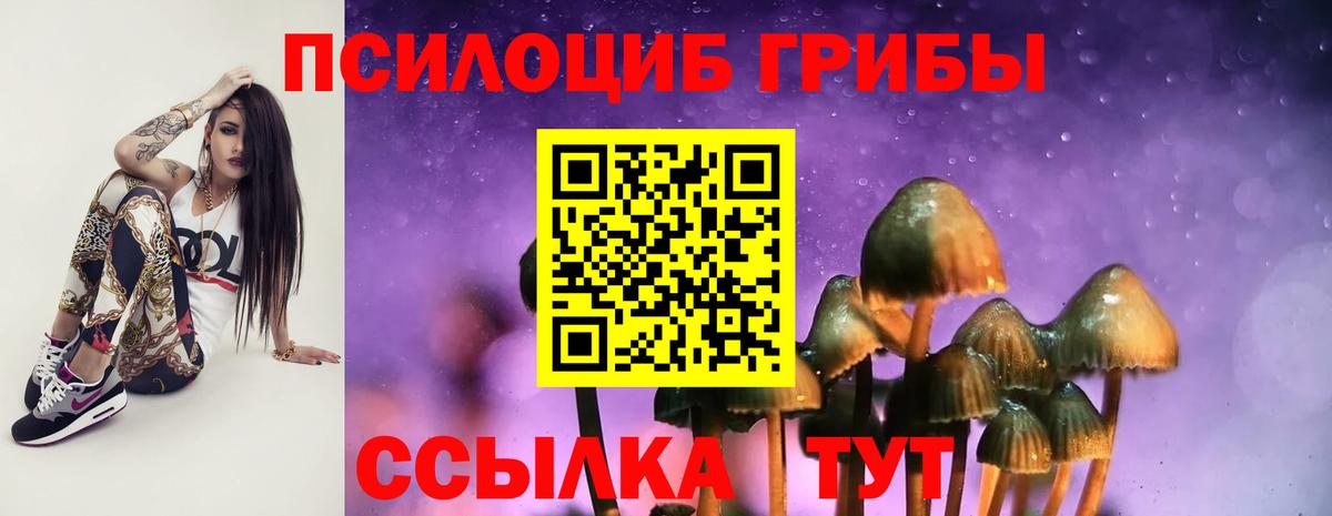 Галлюциногенные грибы Cubensis  наркошоп  Тихвин  Вход с VPN 
