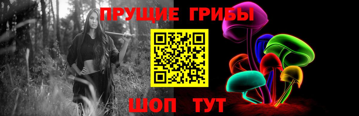 Галлюциногенные грибы Cubensis Тихвин